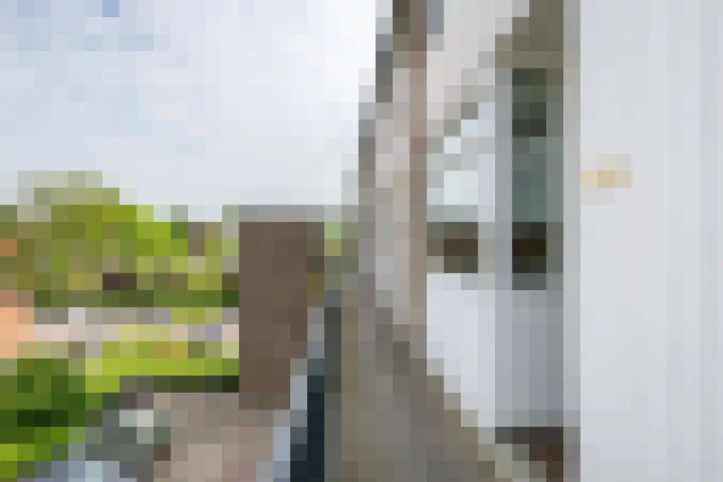 Batavierlaan 83 Nieuwerkerk aan den IJssel thumbnail 19