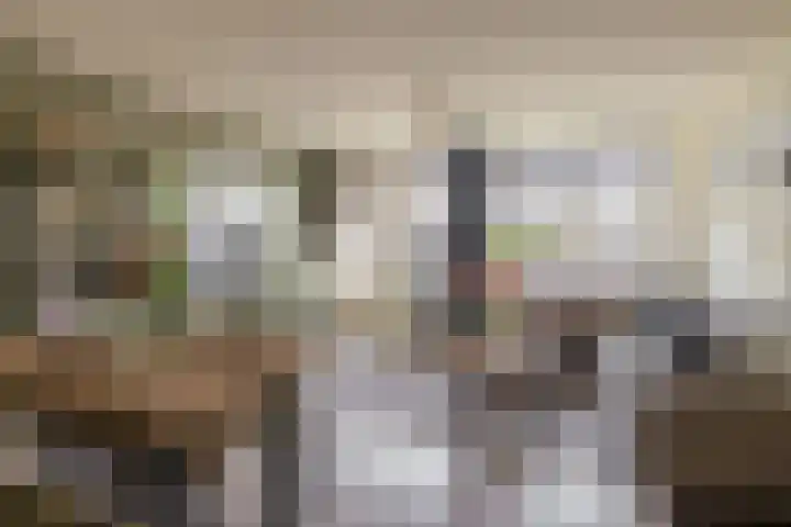 Batavierlaan 9 Nieuwerkerk aan den IJssel thumbnail 10