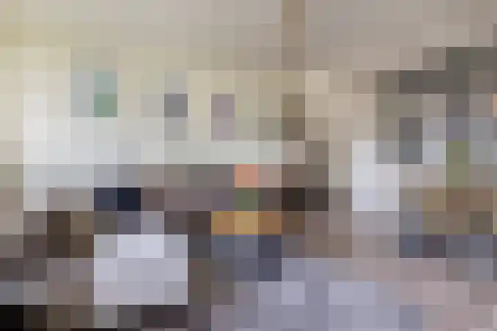 Batavierlaan 9 Nieuwerkerk aan den IJssel thumbnail 12