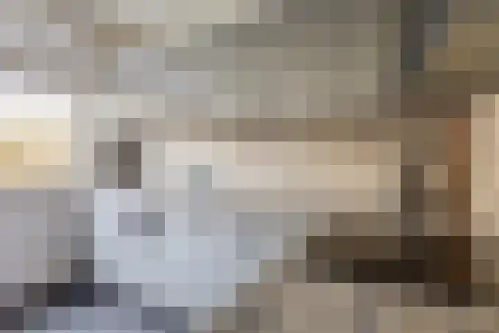 Batavierlaan 9 Nieuwerkerk aan den IJssel thumbnail 17