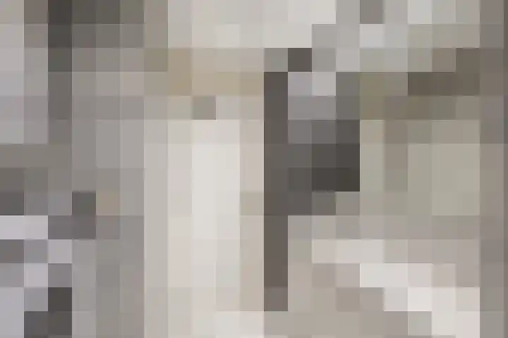 Batavierlaan 9 Nieuwerkerk aan den IJssel thumbnail 26