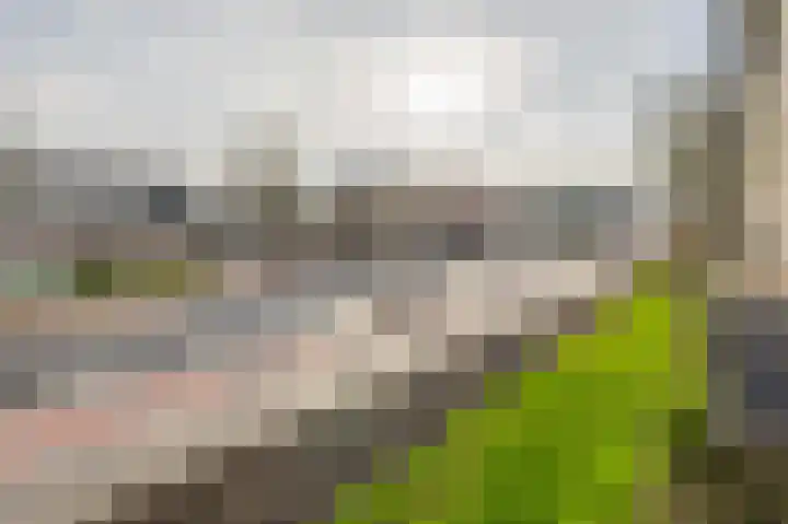 Batavierlaan 9 Nieuwerkerk aan den IJssel thumbnail 33