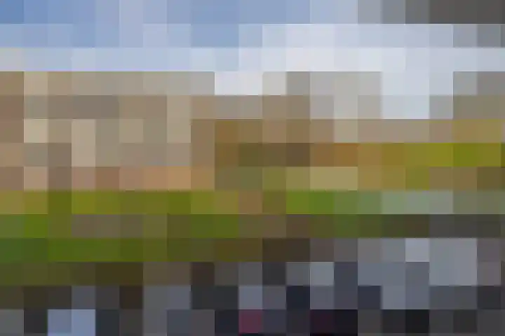Batavierlaan 9 Nieuwerkerk aan den IJssel thumbnail 38