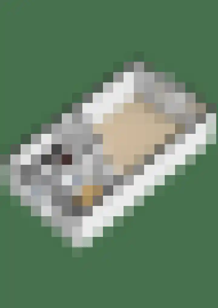 Batavierlaan 9 Nieuwerkerk aan den IJssel thumbnail 43