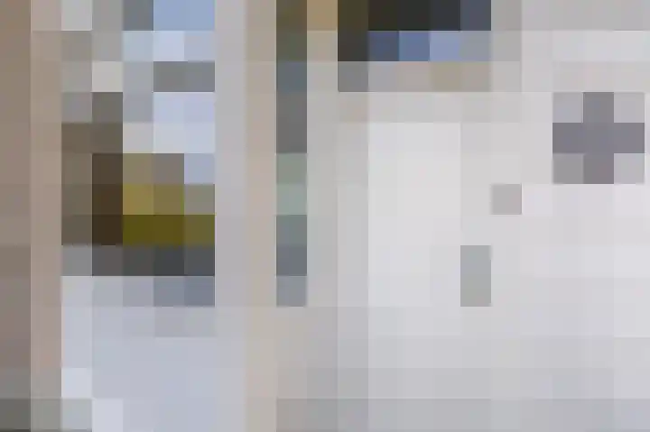 Batavierlaan 9 Nieuwerkerk aan den IJssel thumbnail 6