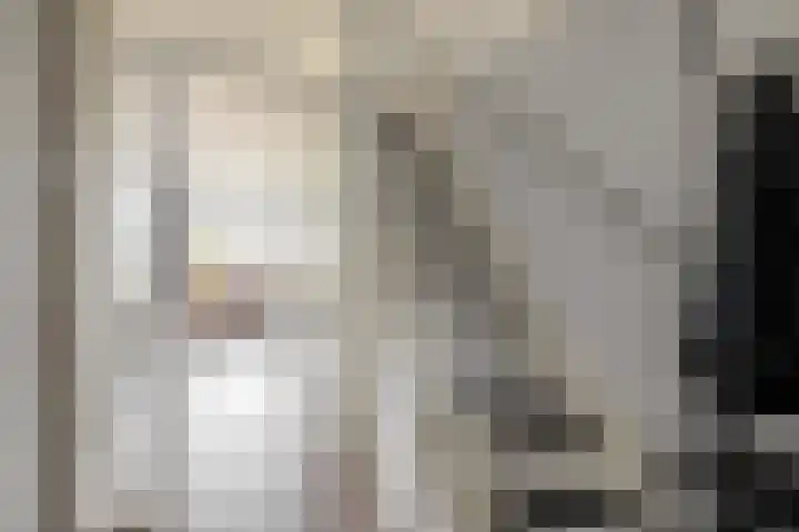 Batavierlaan 9 Nieuwerkerk aan den IJssel thumbnail 9