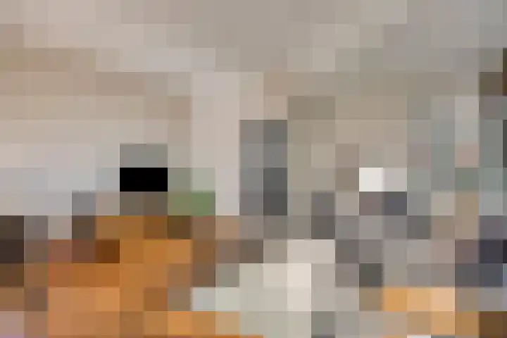 Batavierlaan 91 Nieuwerkerk aan den IJssel thumbnail 11