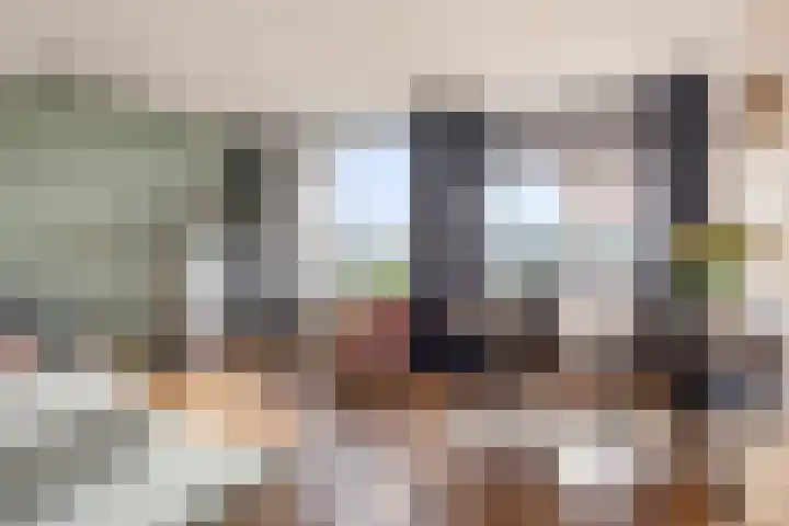 Batavierlaan 91 Nieuwerkerk aan den IJssel thumbnail 13