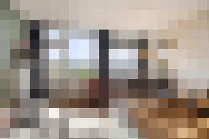 Batavierlaan 91 Nieuwerkerk aan den IJssel thumbnail 14