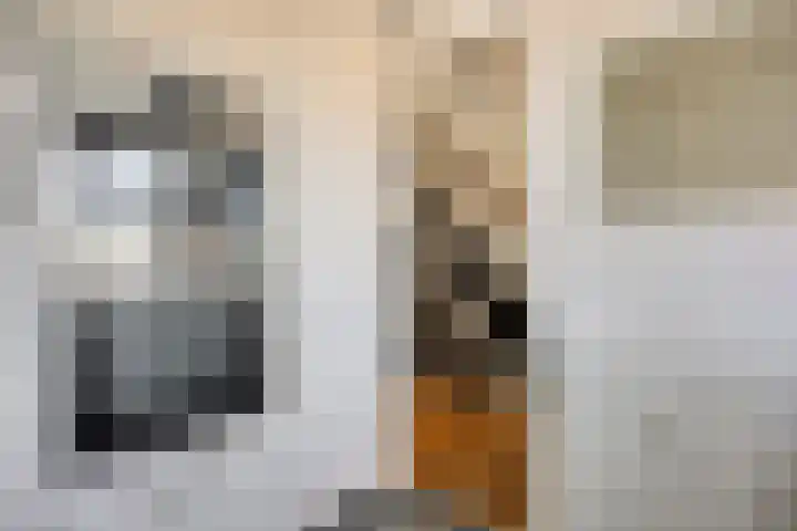 Batavierlaan 91 Nieuwerkerk aan den IJssel thumbnail 16