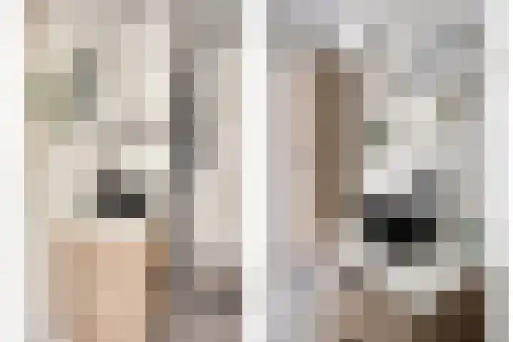 Batavierlaan 91 Nieuwerkerk aan den IJssel thumbnail 31
