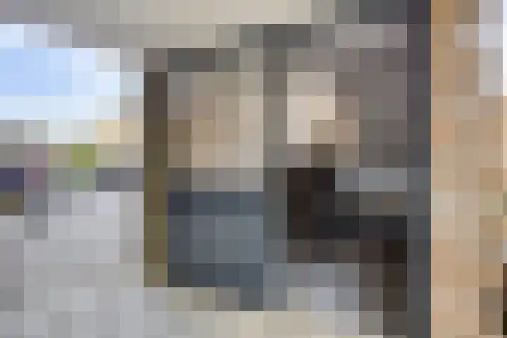 Batavierlaan 91 Nieuwerkerk aan den IJssel thumbnail 4
