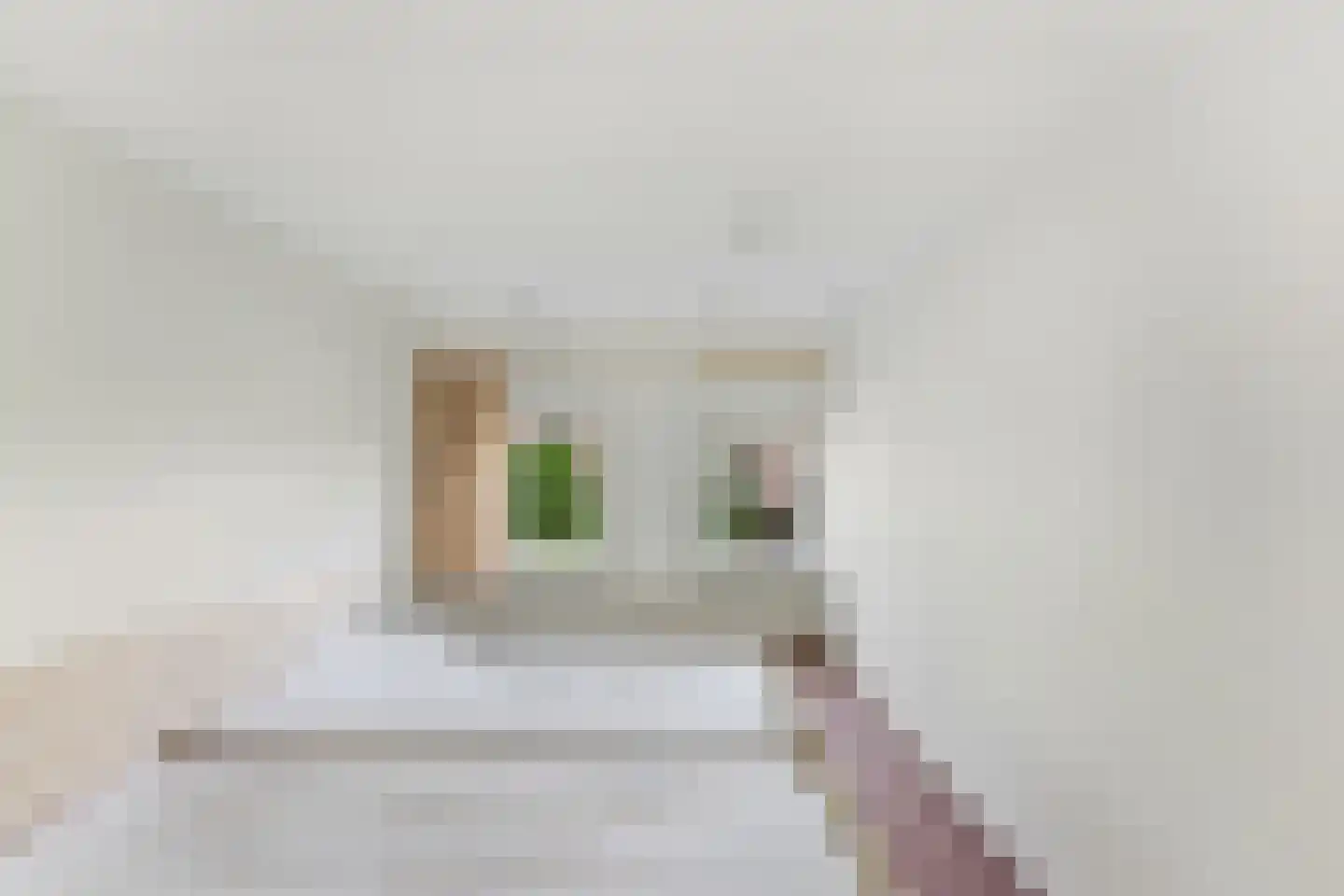 Batavierstraat 26 Alblasserdam thumbnail 14