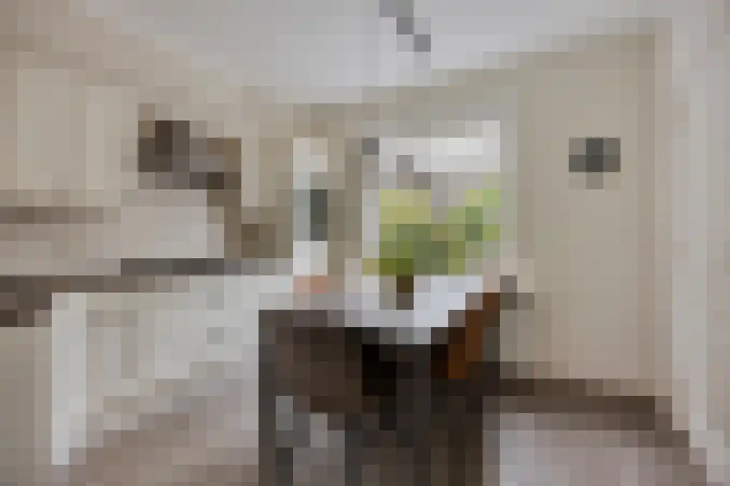 Batavierstraat 30 Alblasserdam thumbnail 11