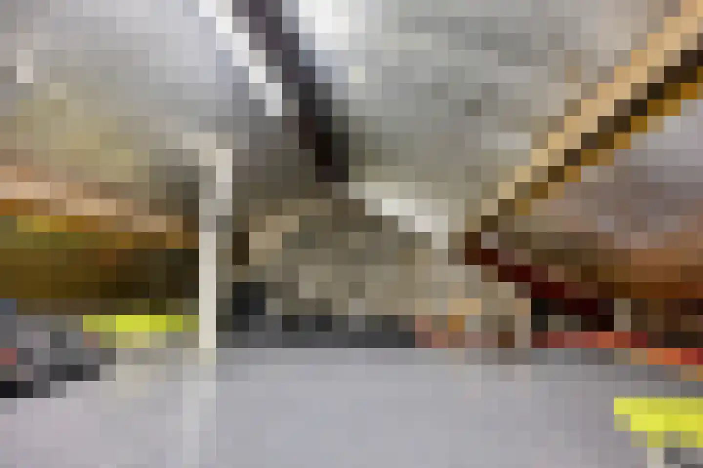 Batavierstraat 30 Alblasserdam thumbnail 26