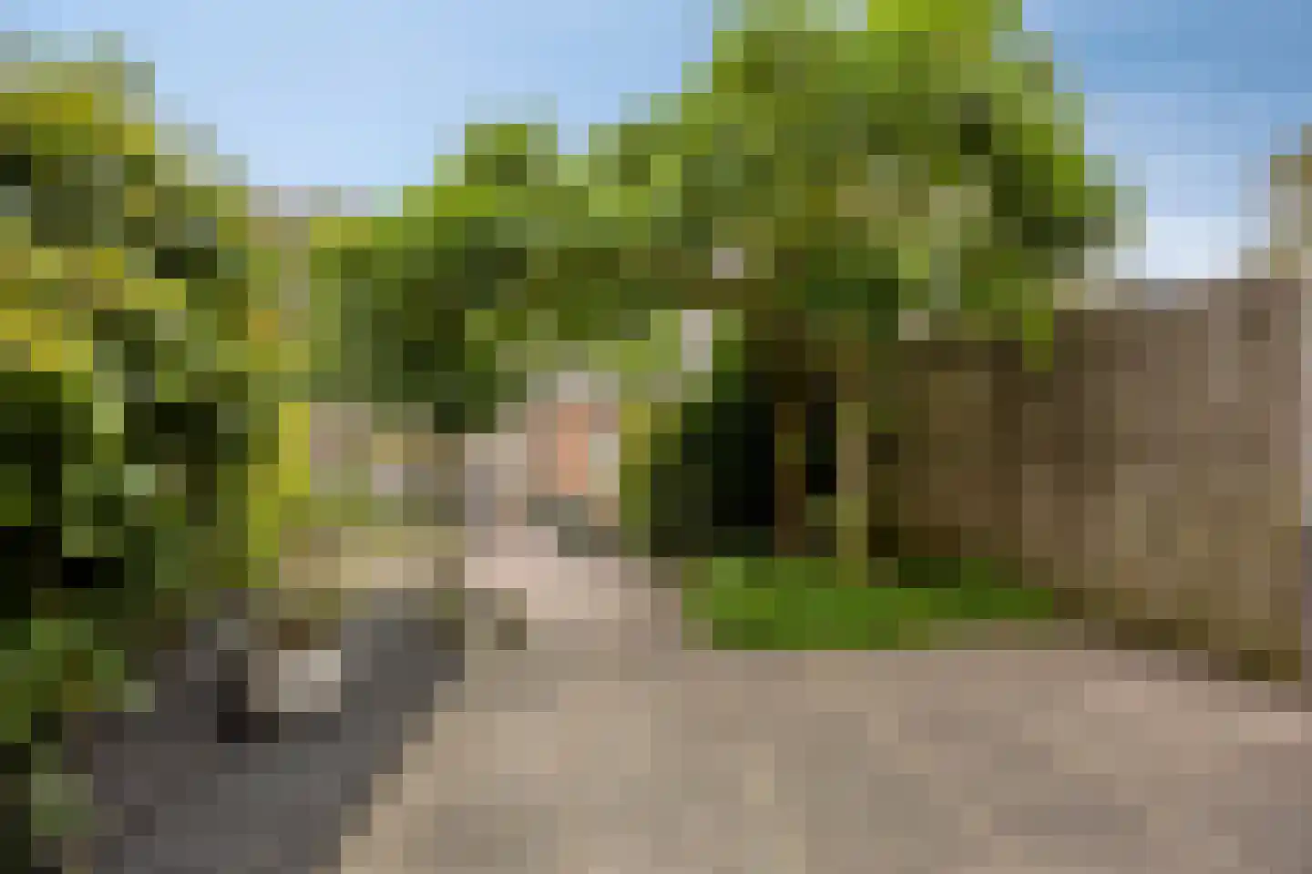 Batavierstraat 30 Alblasserdam thumbnail 28