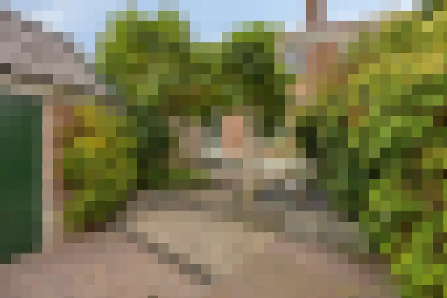 Batavierstraat 30 Alblasserdam thumbnail 32