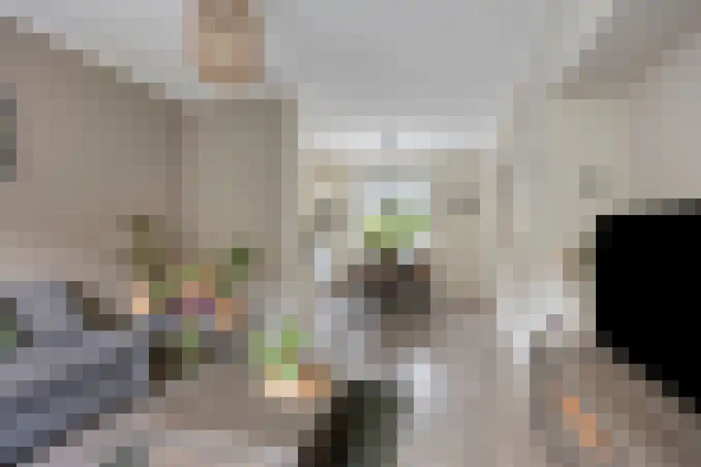 Batavierstraat 30 Alblasserdam thumbnail 7