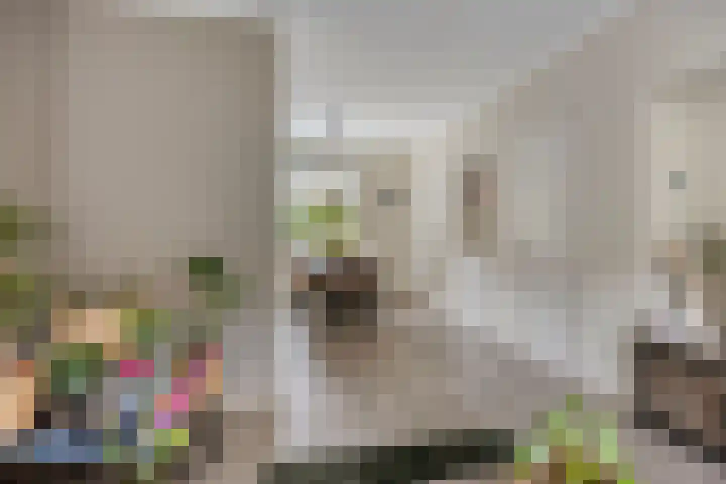 Batavierstraat 30 Alblasserdam thumbnail 8