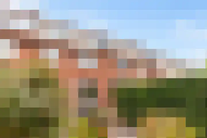 Batavierstraat 7 Alblasserdam thumbnail 35
