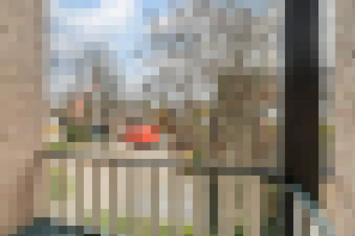 Batelaar 6 Oosterhout thumbnail 36