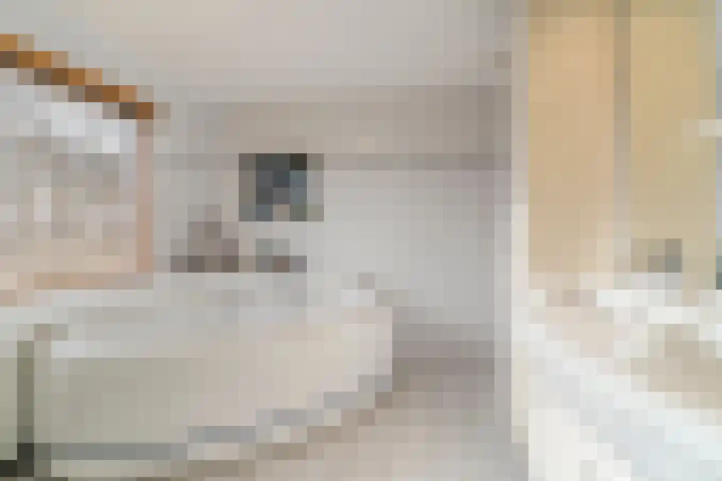 Batelaar 6 Oosterhout thumbnail 39