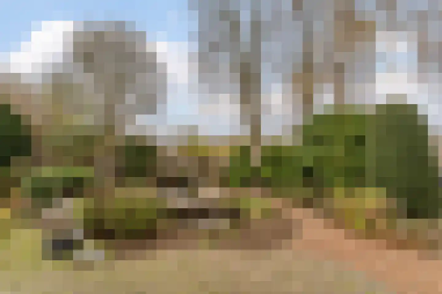 Batelaar 6 Oosterhout thumbnail 54