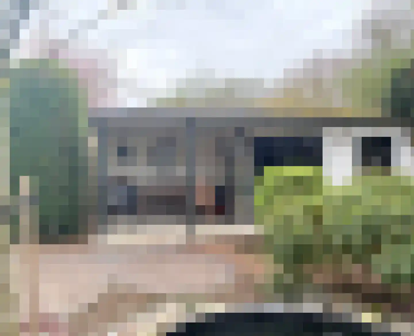 Batelaar 6 Oosterhout thumbnail 56