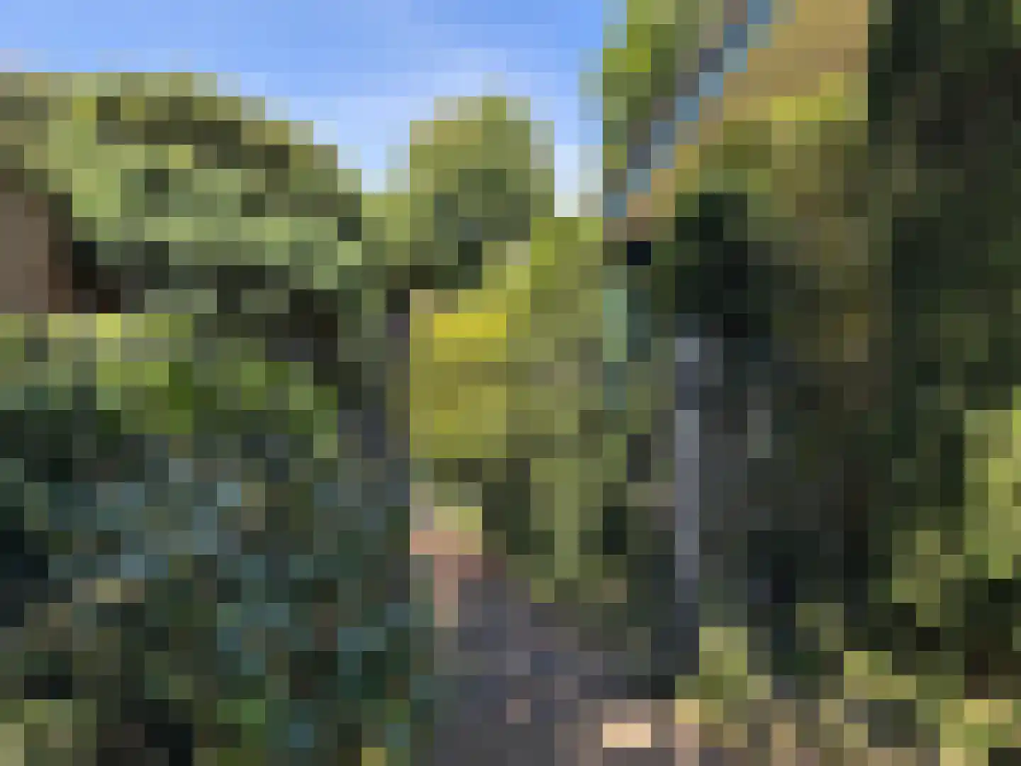 Batelaar 6 Oosterhout thumbnail 57