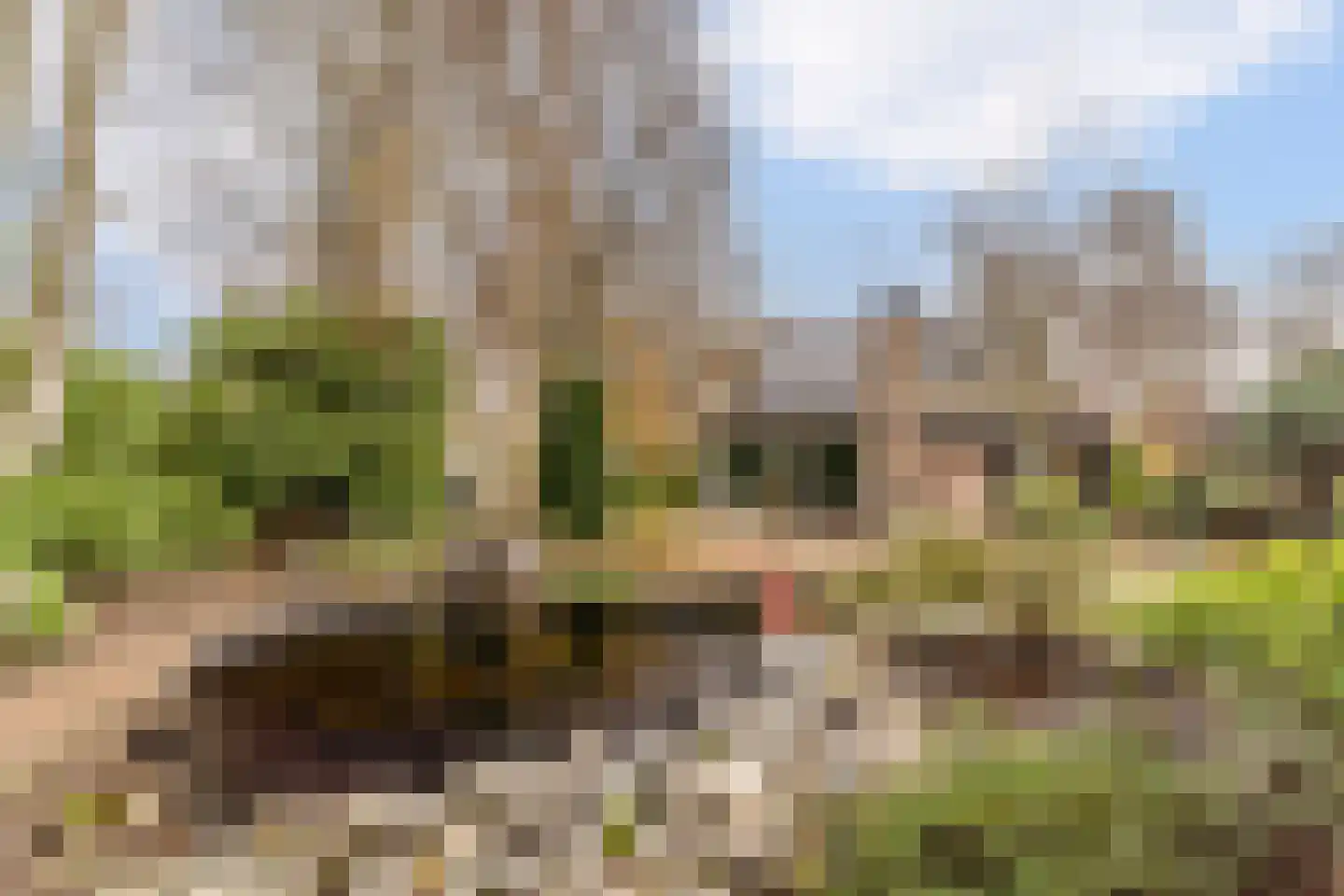 Batelaar 6 Oosterhout thumbnail 58