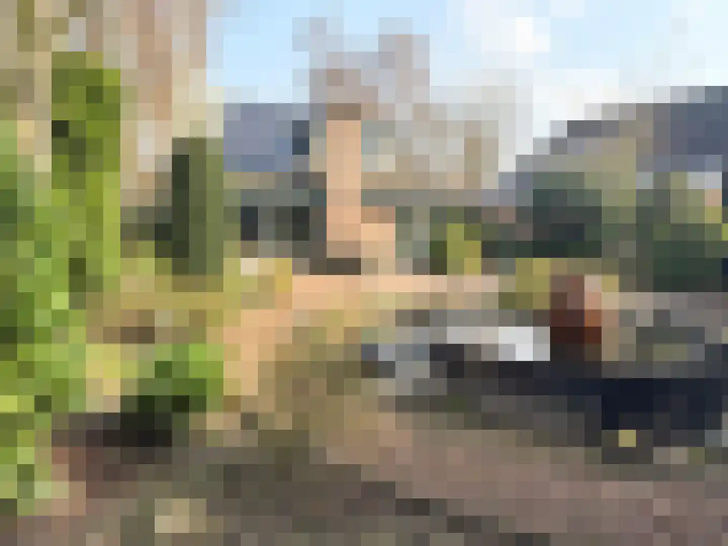 Batelaar 6 Oosterhout thumbnail 59