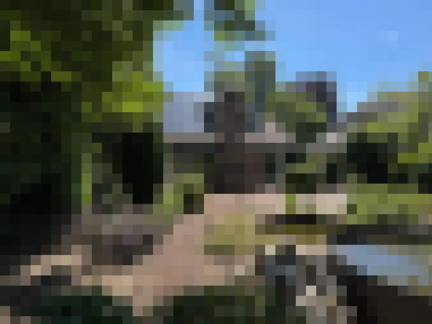 Batelaar 6 Oosterhout thumbnail 59