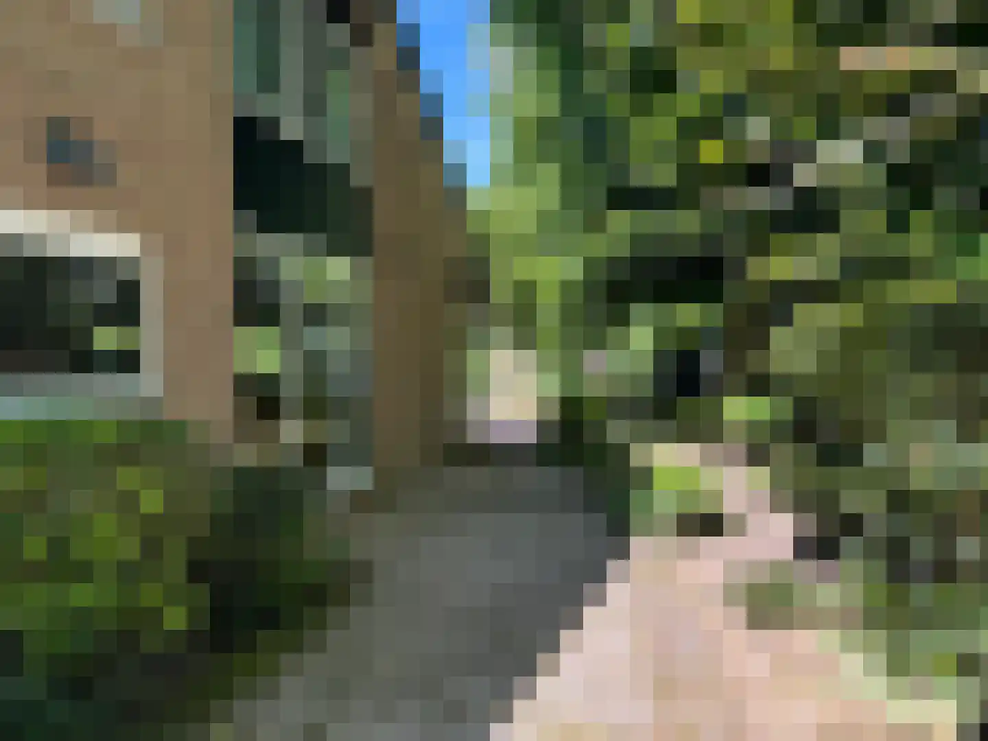 Batelaar 6 Oosterhout thumbnail 61