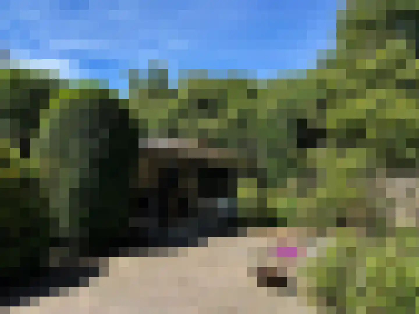 Batelaar 6 Oosterhout thumbnail 62