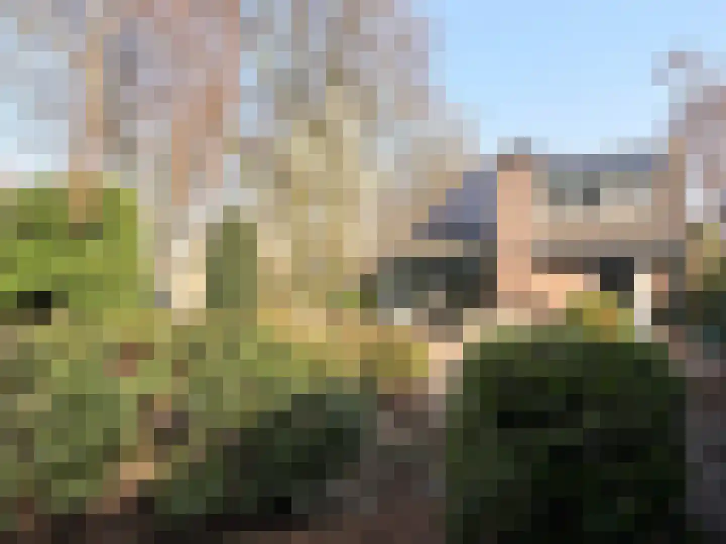 Batelaar 6 Oosterhout thumbnail 63
