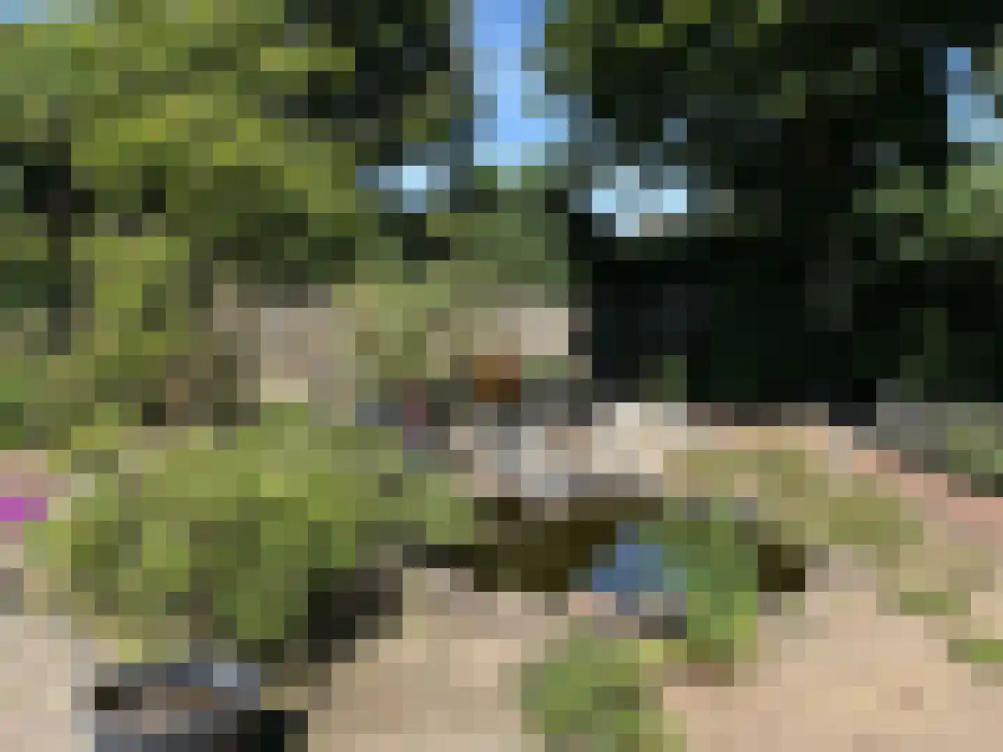 Batelaar 6 Oosterhout thumbnail 63