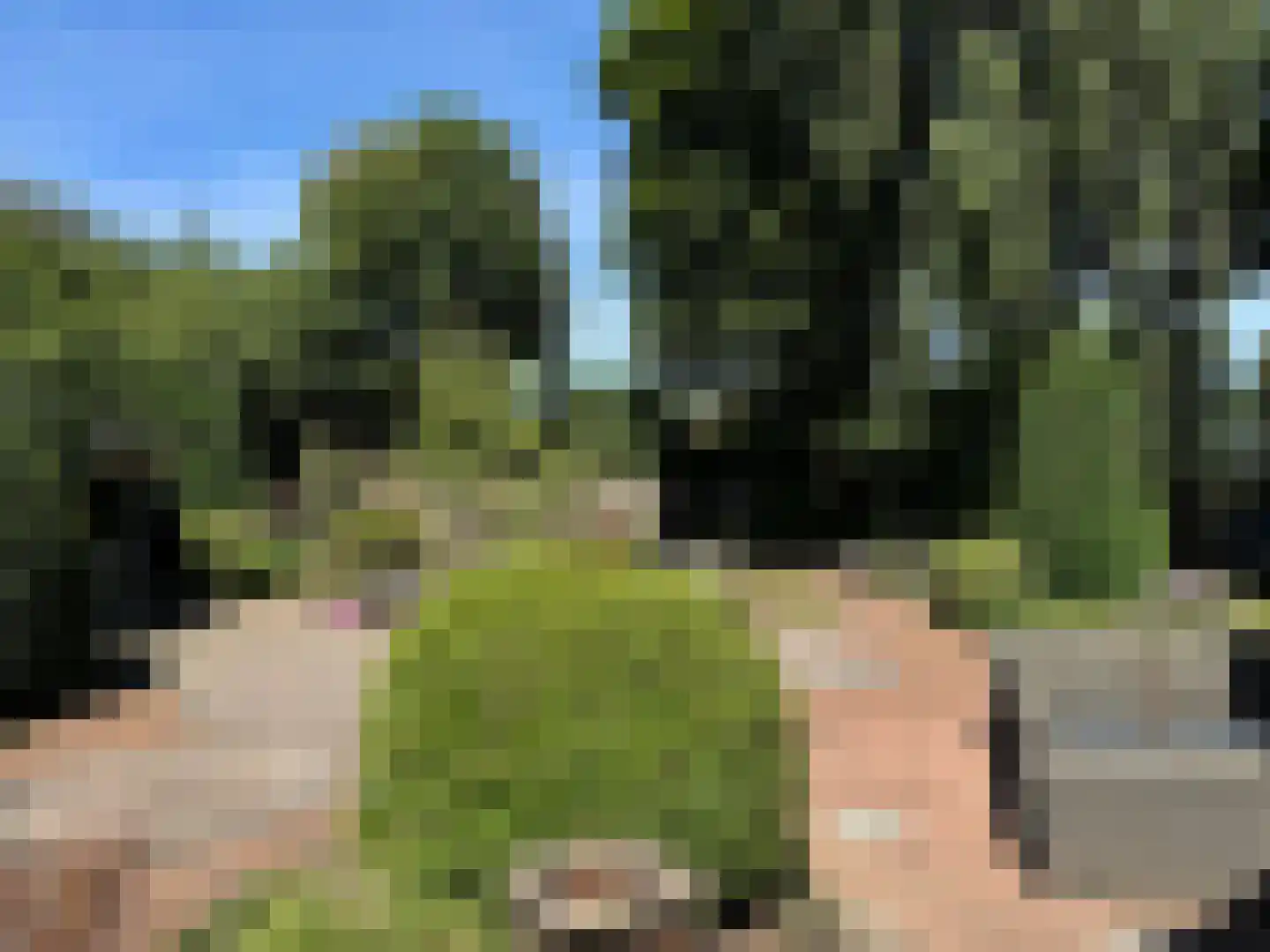 Batelaar 6 Oosterhout thumbnail 64