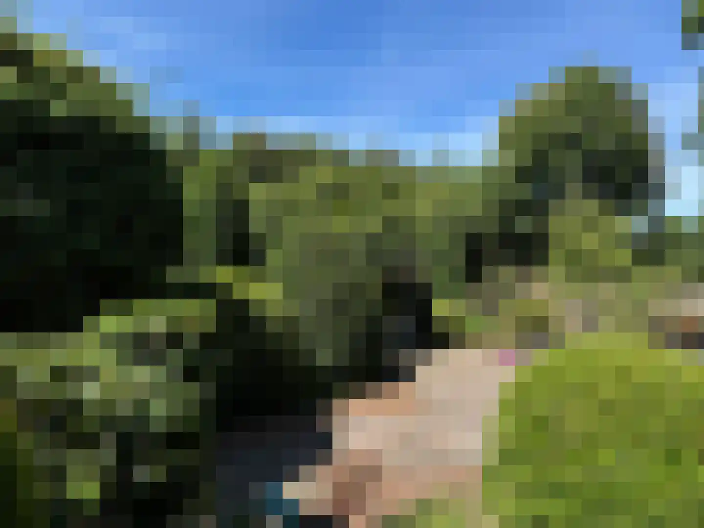 Batelaar 6 Oosterhout thumbnail 65