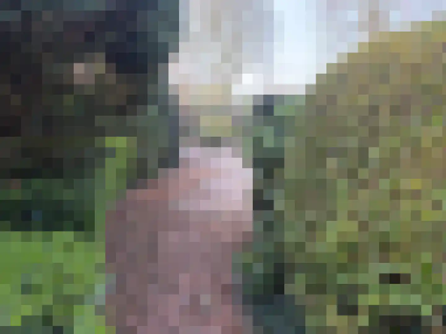 Batelaar 6 Oosterhout thumbnail 66