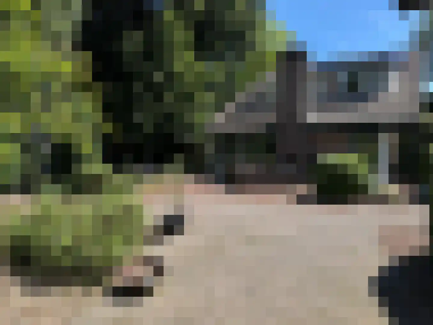 Batelaar 6 Oosterhout thumbnail 67