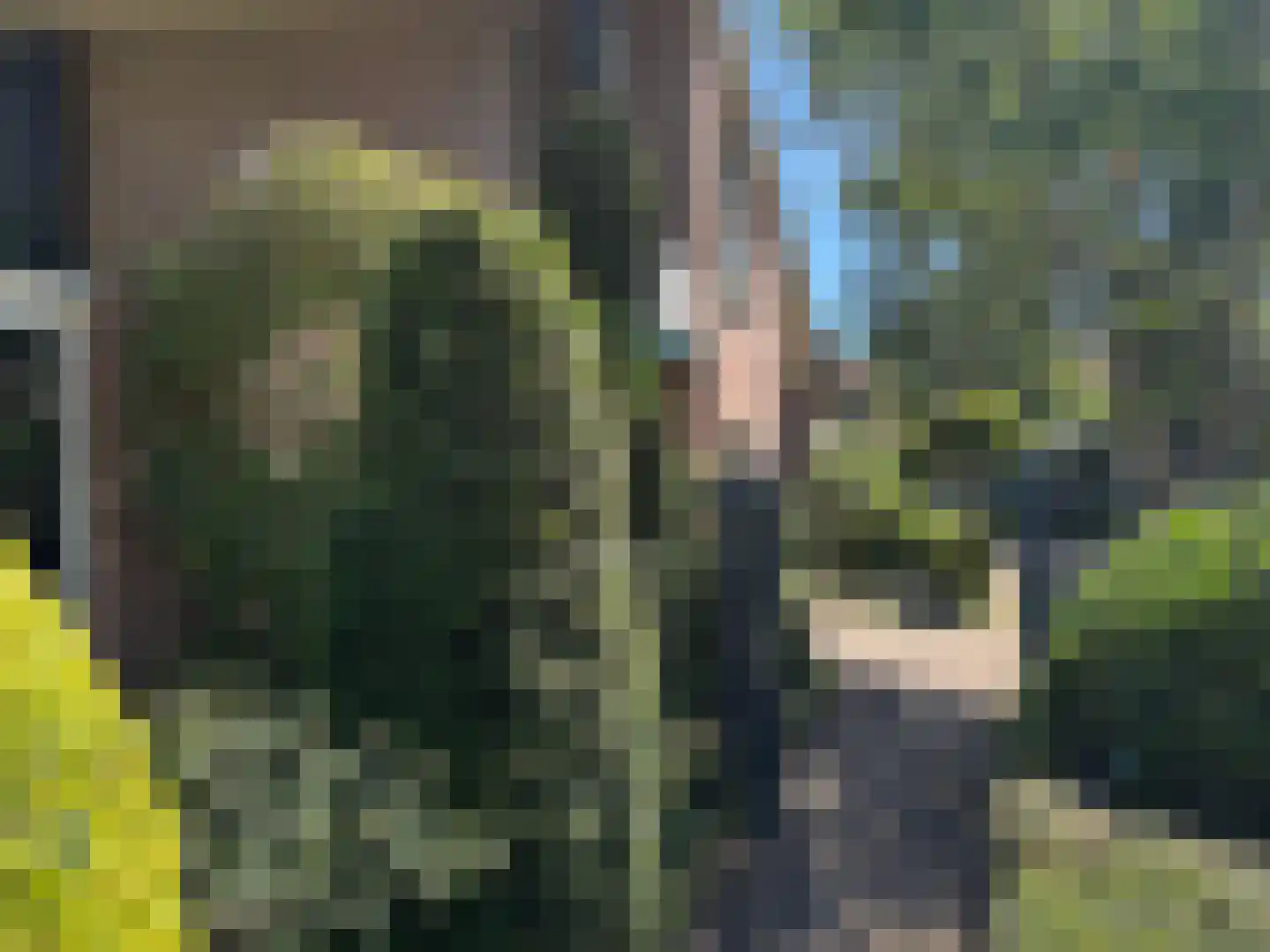 Batelaar 6 Oosterhout thumbnail 68
