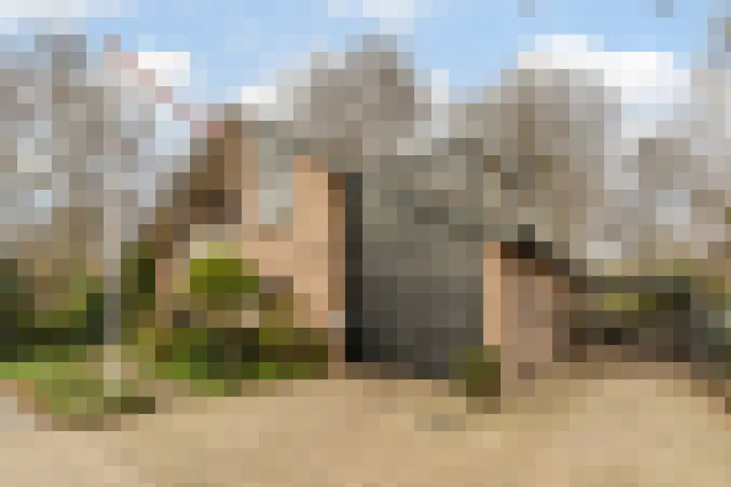 Batelaar 6 Oosterhout thumbnail 73