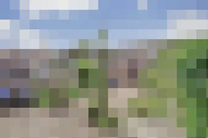 Batelaar 98 Oosterhout thumbnail 27