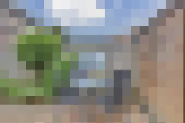Batelaar 98 Oosterhout thumbnail 28