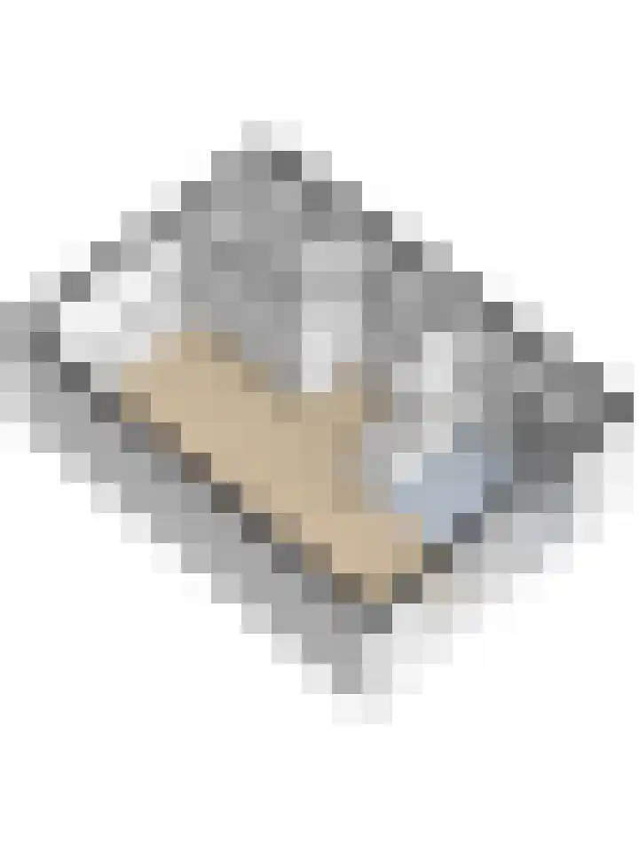 Batelaar 98 Oosterhout thumbnail 35
