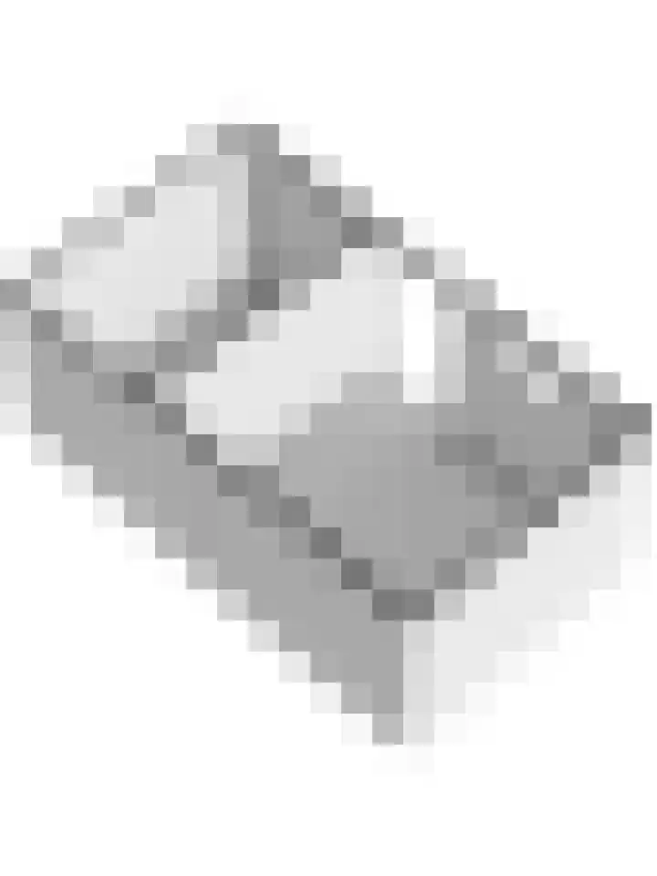 Batelaar 98 Oosterhout thumbnail 38