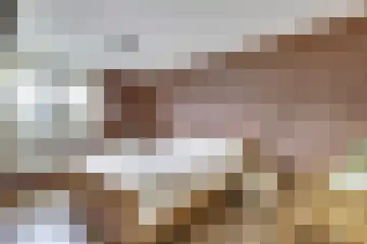 Batelaar 98 Oosterhout thumbnail 4