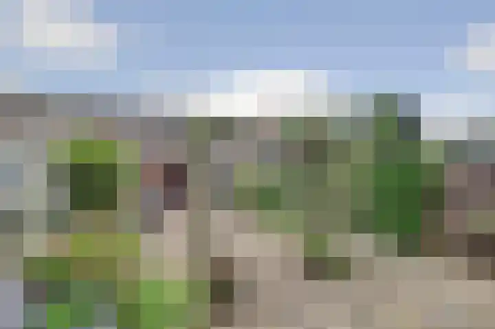 Batelaar 98 Oosterhout thumbnail 6