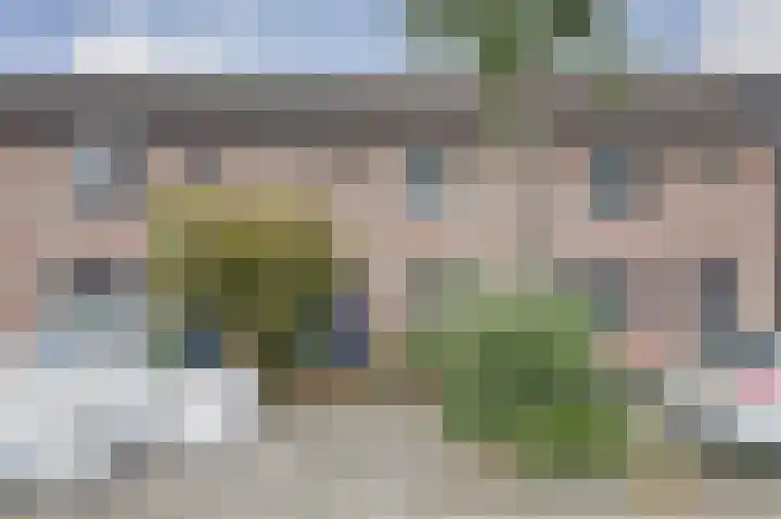 Batelaar 98 Oosterhout thumbnail 7