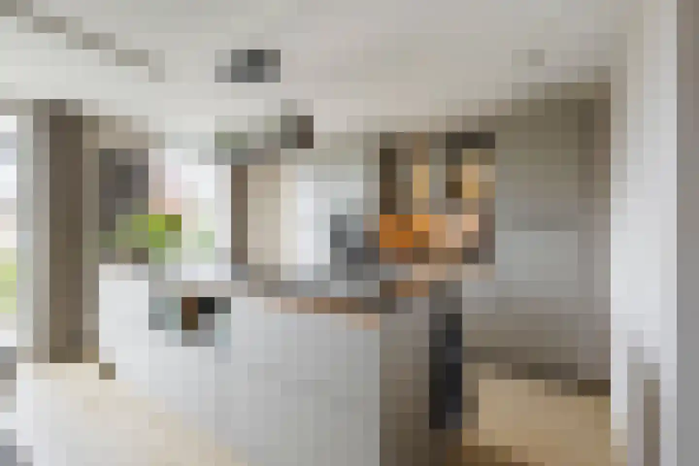 Batelier 18 Sliedrecht thumbnail 12